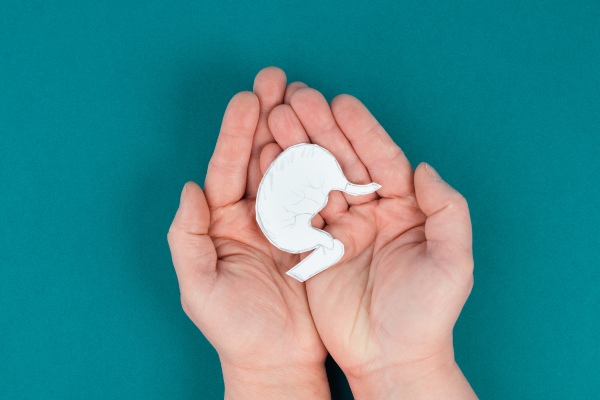 Dieta by pass gastrico